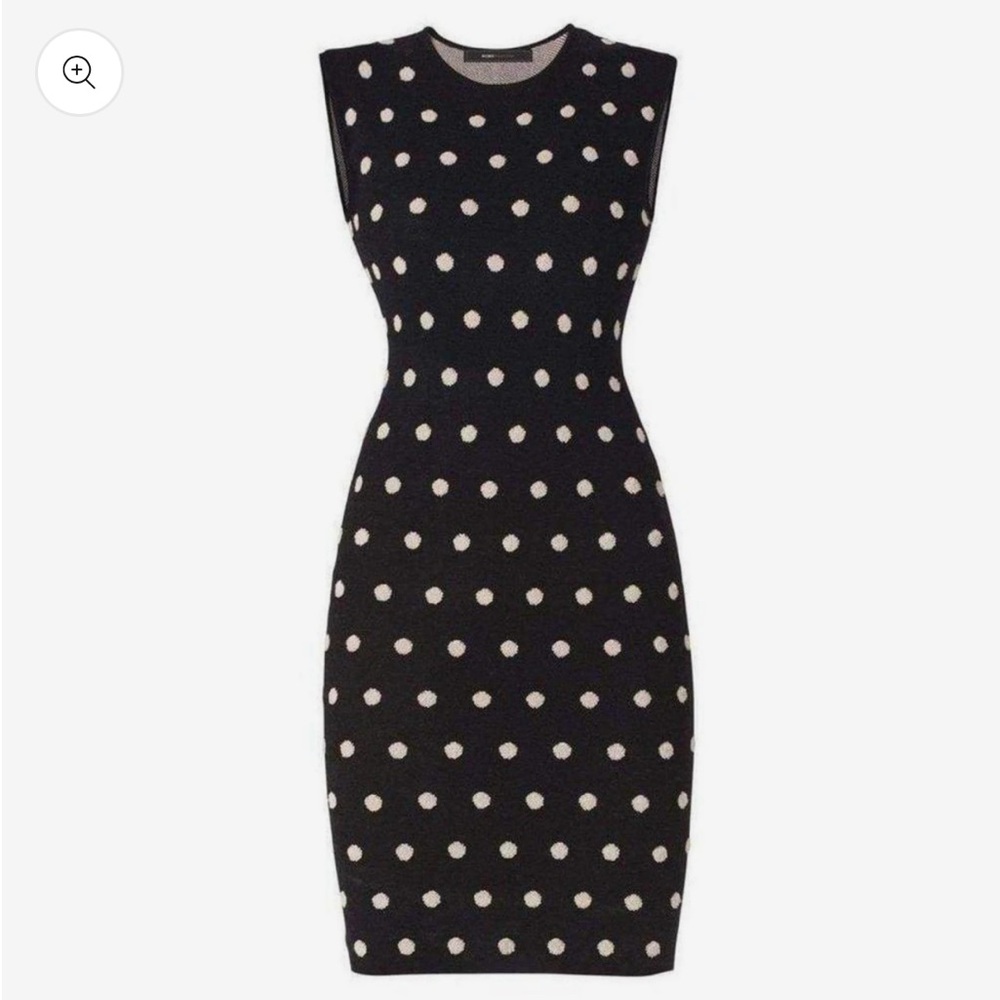 BCBG Polka Dot Sweater Dress